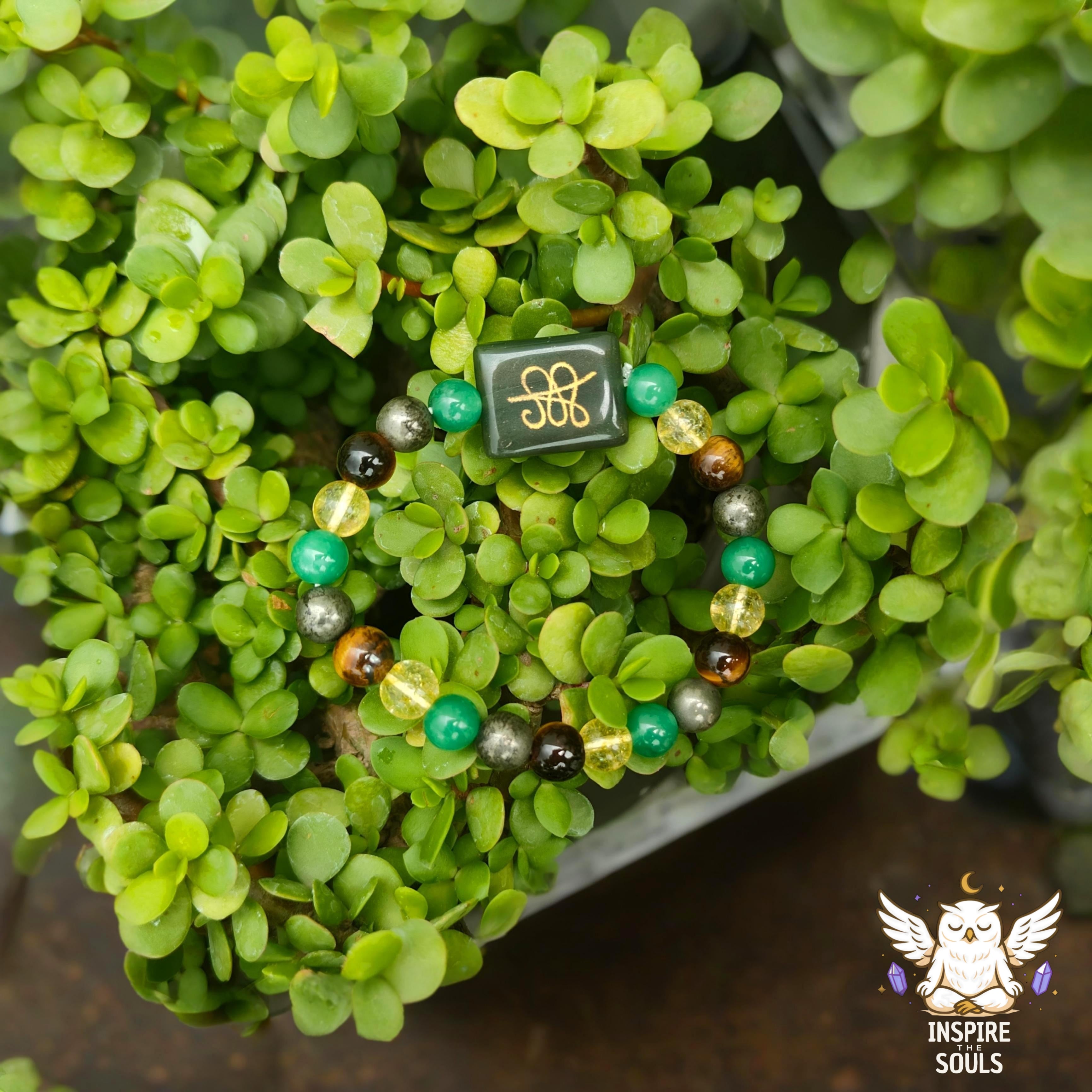 Authentic Money Magnet Bracelet with Green Jade Zibu Coin